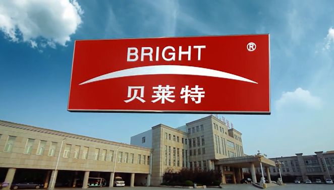 Company Introduction